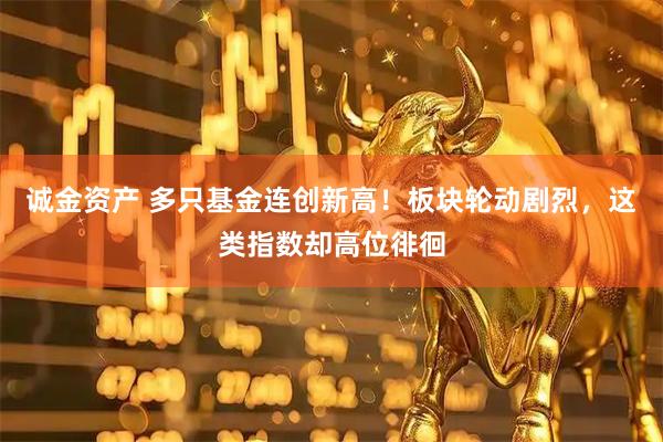 诚金资产 多只基金连创新高！板块轮动剧烈，这类指数却高位徘徊
