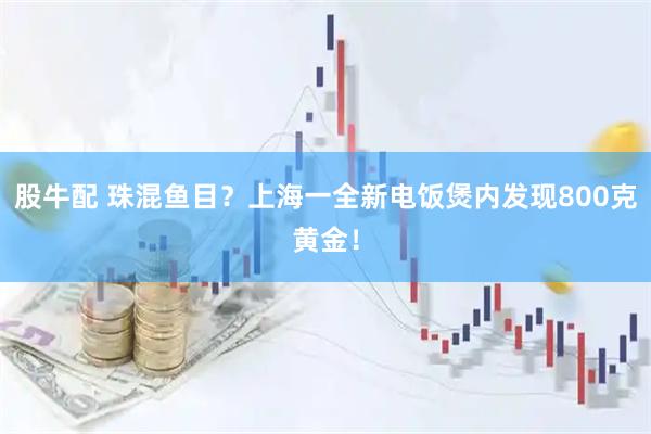 股牛配 珠混鱼目？上海一全新电饭煲内发现800克黄金！
