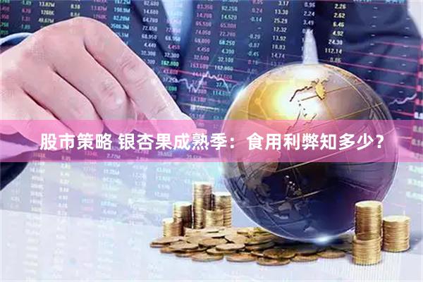股市策略 银杏果成熟季：食用利弊知多少？