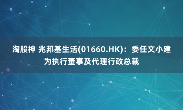 淘股神 兆邦基生活(01660.HK)：委任文小建为执行董事及代理行政总裁