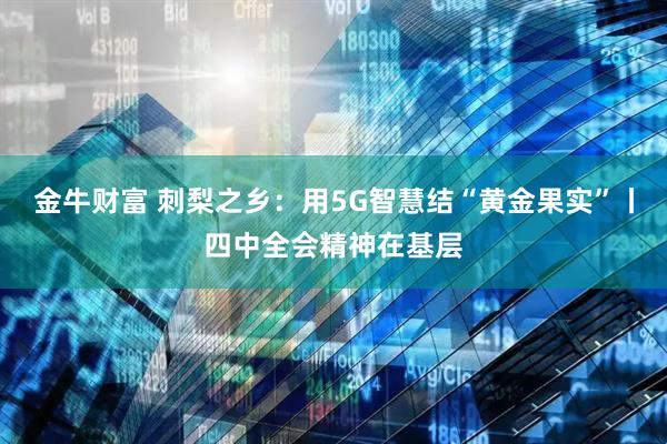 金牛财富 刺梨之乡：用5G智慧结“黄金果实”丨四中全会精神在基层