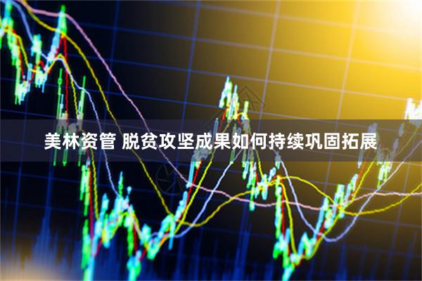 美林资管 脱贫攻坚成果如何持续巩固拓展