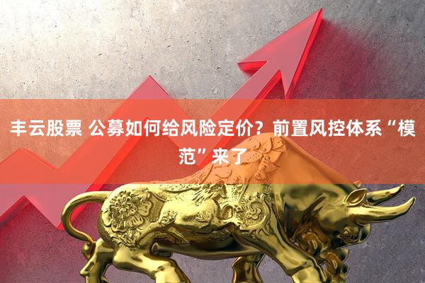 丰云股票 公募如何给风险定价？前置风控体系“模范”来了